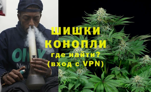 ГАЛЛЮЦИНОГЕННЫЕ ГРИБЫ Инта