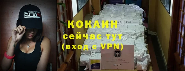 ГАЛЛЮЦИНОГЕННЫЕ ГРИБЫ Инта