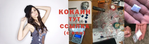 ГАЛЛЮЦИНОГЕННЫЕ ГРИБЫ Инта