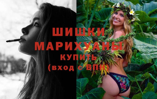 ГАЛЛЮЦИНОГЕННЫЕ ГРИБЫ Инта