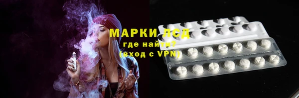 ГАЛЛЮЦИНОГЕННЫЕ ГРИБЫ Инта