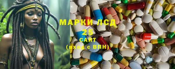 ГАЛЛЮЦИНОГЕННЫЕ ГРИБЫ Инта