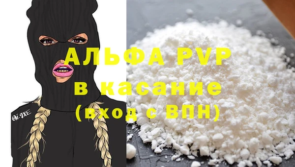 ГАЛЛЮЦИНОГЕННЫЕ ГРИБЫ Инта