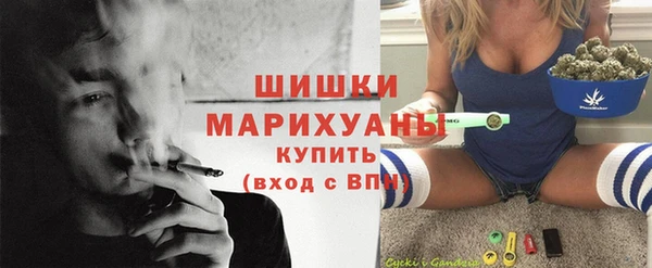 ГАЛЛЮЦИНОГЕННЫЕ ГРИБЫ Инта